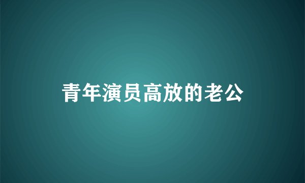 青年演员高放的老公