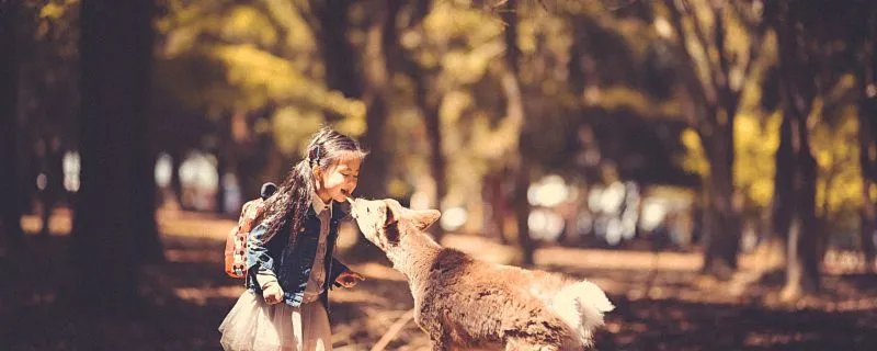 土字旁的字有哪些 土字偏旁的汉字