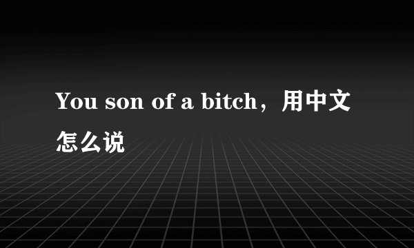 You son of a bitch,用中文怎么说