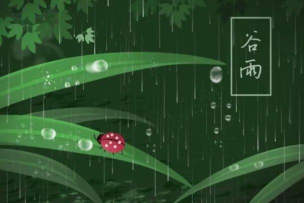 2020谷雨图片大全 2020谷雨唯美图片