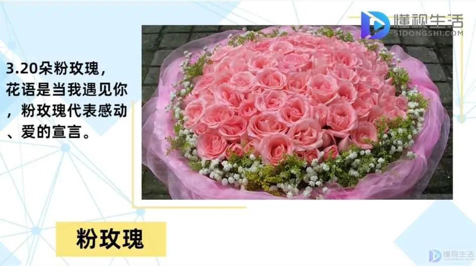 20朵玫瑰代表什么