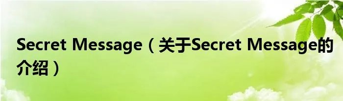 Secret Message(关于Secret Message的介绍)