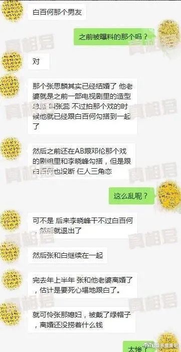 张思麟为什么离婚前妻张蕊资料照片 张思麟白百何李晓峰三角关系