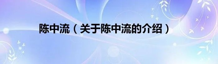 陈中流（关于陈中流的介绍）
