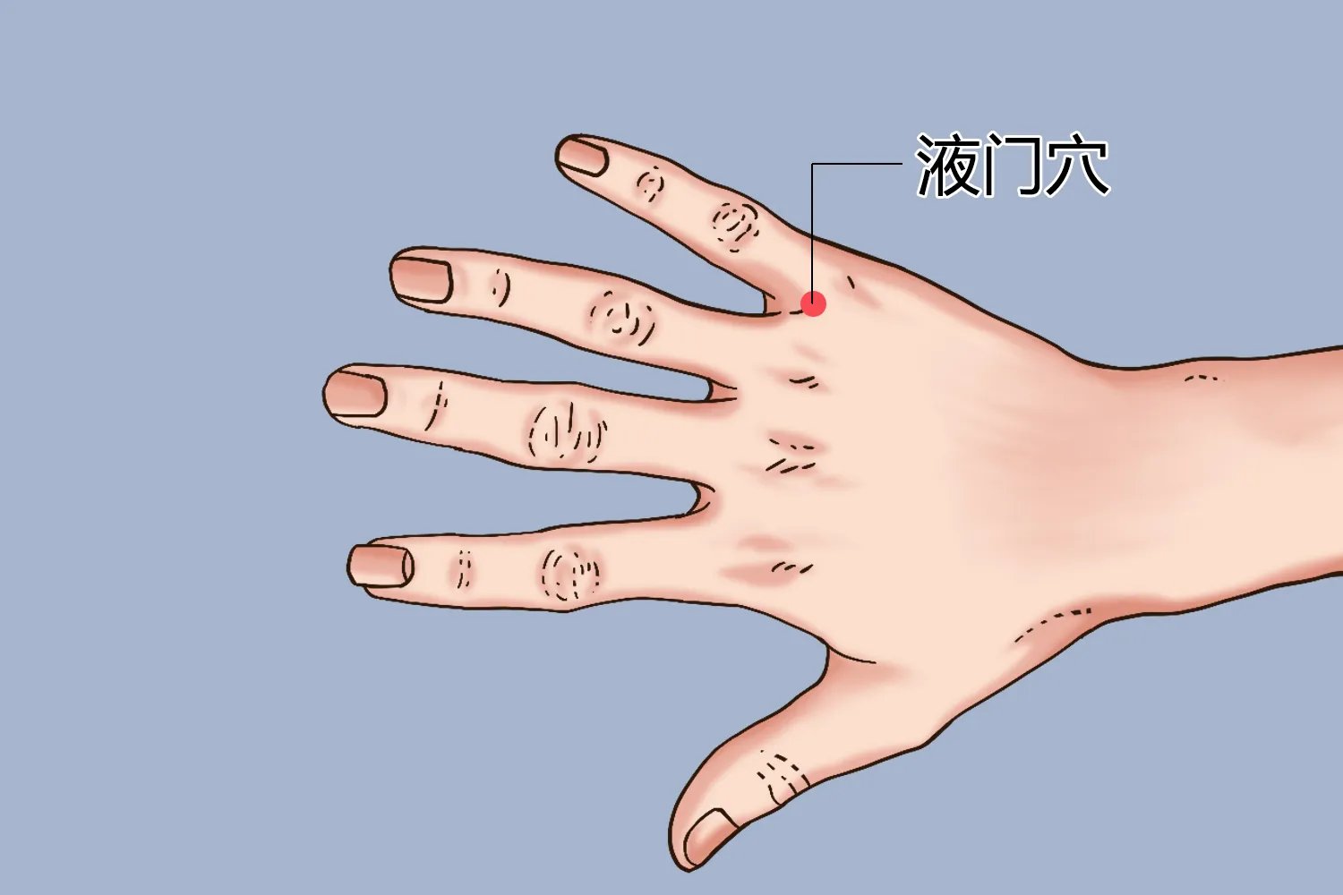 人体自带消炎正确位置