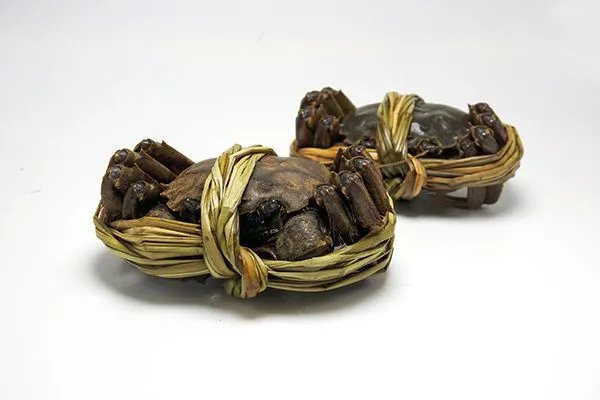 河蟹怎么保存不会死