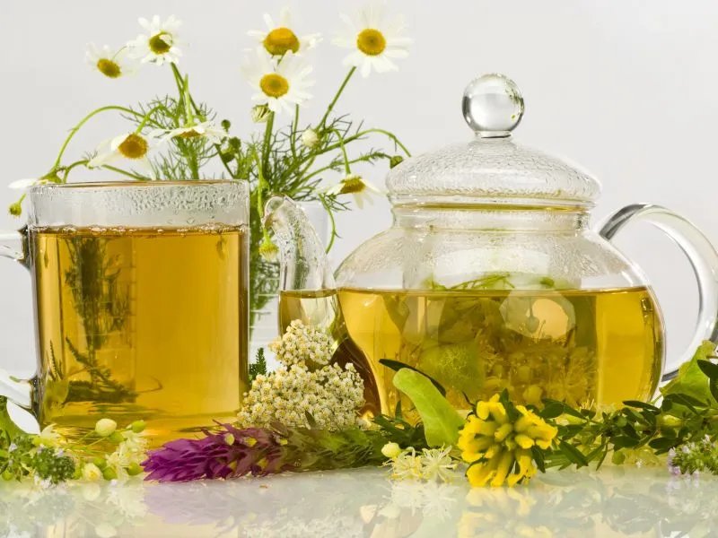 菊花茶的功效与副作用