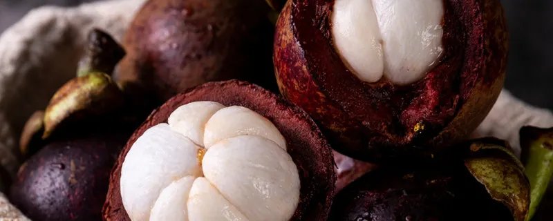 山竹是什么意思