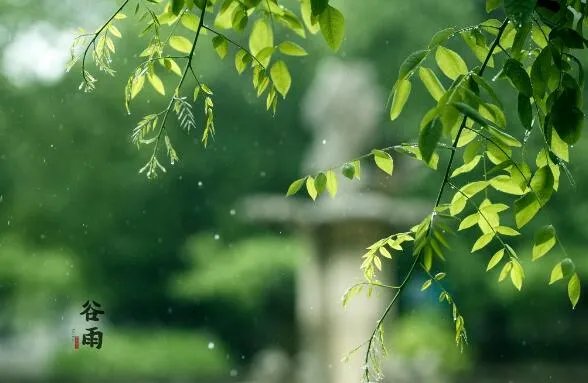 2020谷雨图片大全 2020谷雨唯美图片