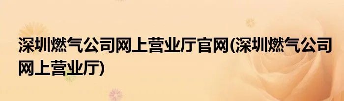 深圳燃气公司网上营业厅官网(深圳燃气公司网上营业厅)