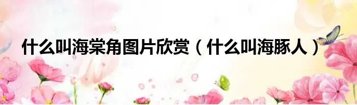 什么叫海棠角图片欣赏（什么叫海豚人）