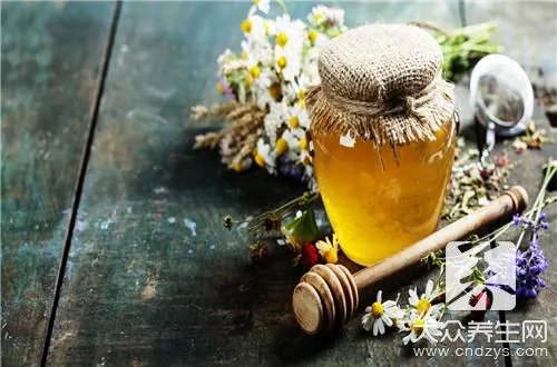 洋槐树花蜜有哪些功效和作用？