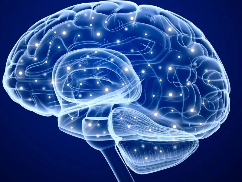 散发性脑炎的病因