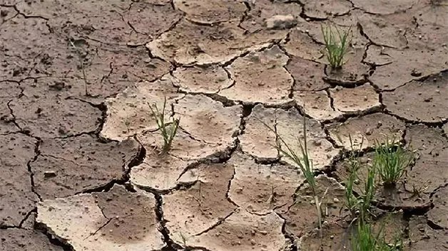 土壤污染的危害有哪些