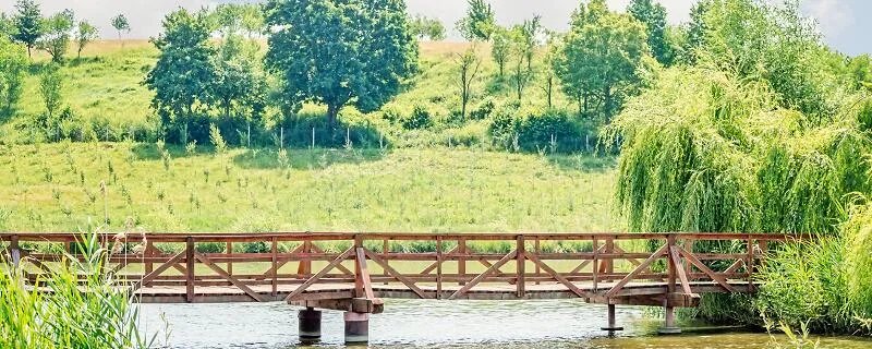 二月春风似剪刀的似的意思 似剪刀里的似的意思是