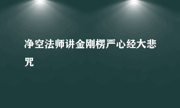 净空法师讲金刚楞严心经大悲咒
