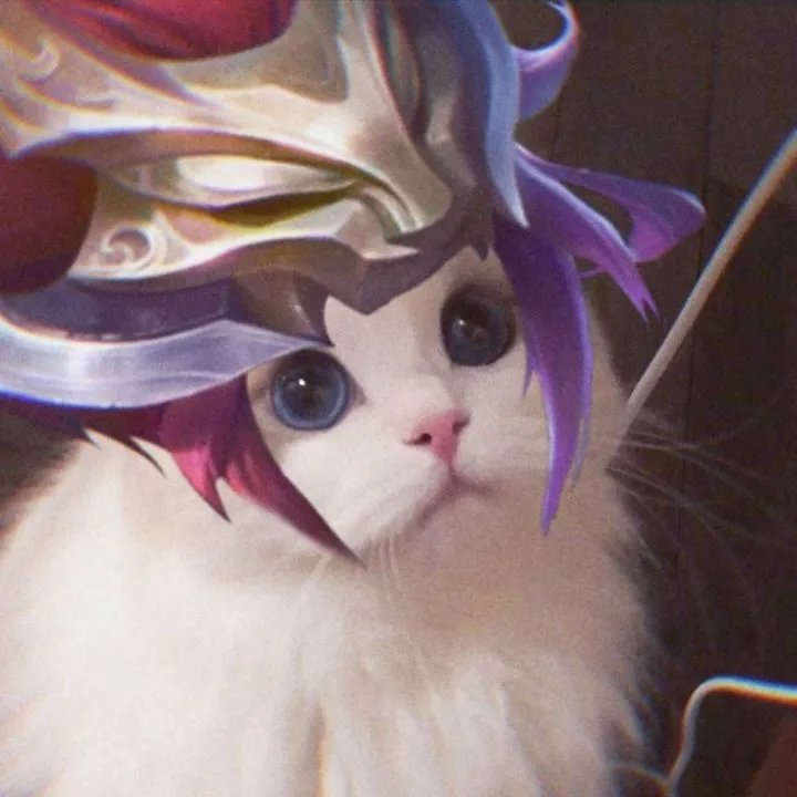 《王者荣耀》猫咪接头头像大全