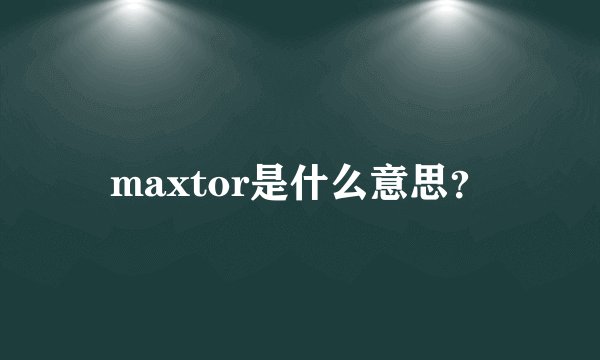 maxtor是什么意思?