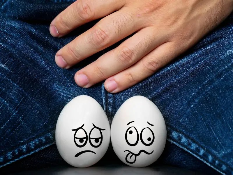 附睾丸囊肿的临床表现