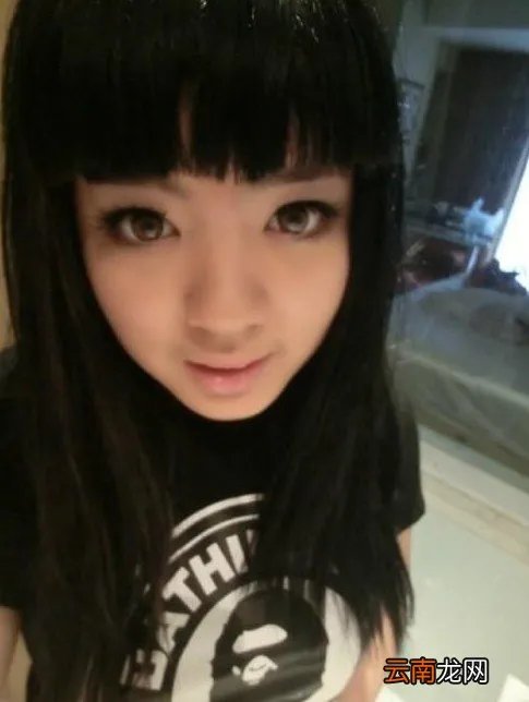 二中刘雅婷事件