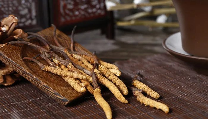 青藏高原的特产是什么