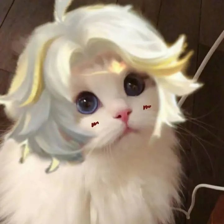 《王者荣耀》猫咪接头头像大全