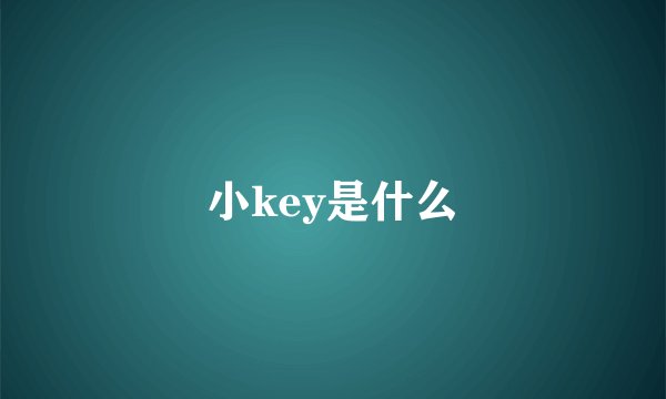 小key是什么