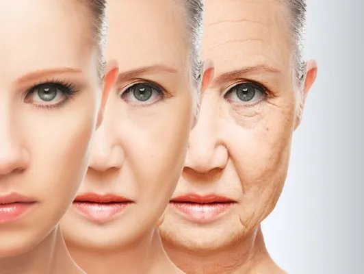 延缓衰老的办法