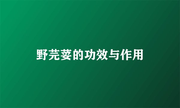 野芫荽的功效与作用
