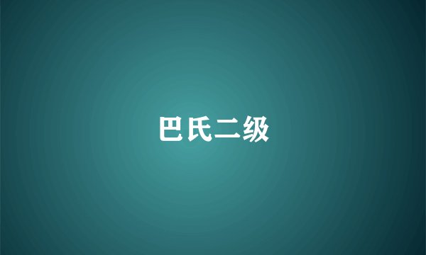 巴氏二级
