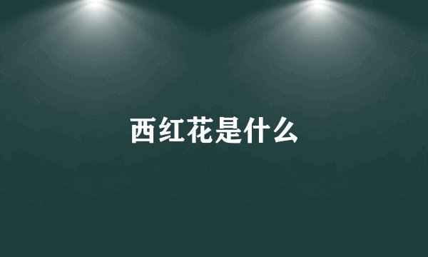 西红花是什么