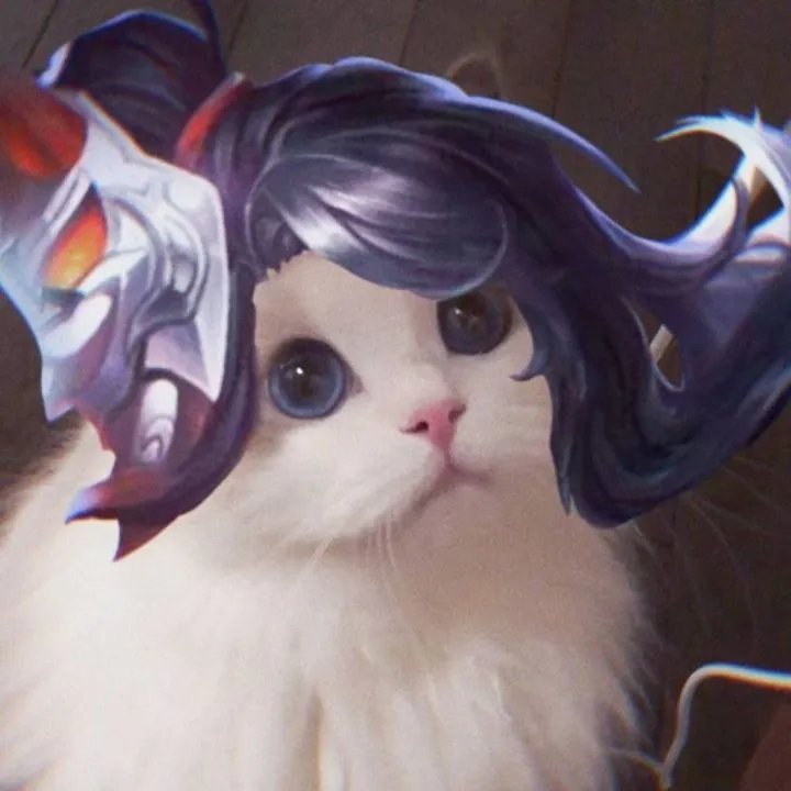 《王者荣耀》猫咪接头头像大全