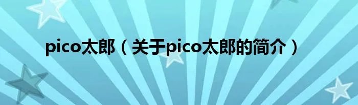 pico太郎（关于pico太郎的简介）