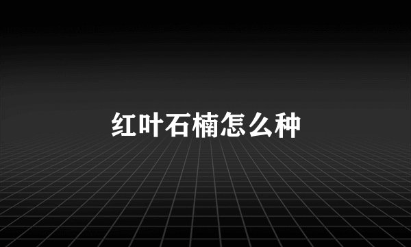 红叶石楠怎么种