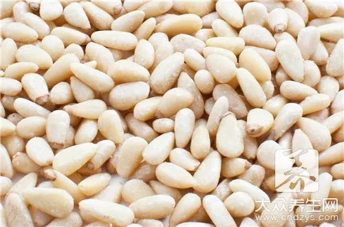 野生松子的功效与作用是什么？