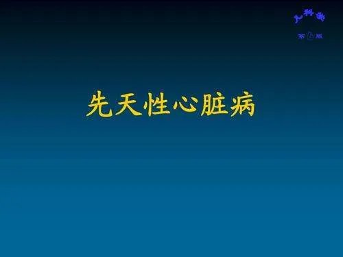 备受网友呵护的“小谢谢”去世了,其背后有着怎样的感人故事?