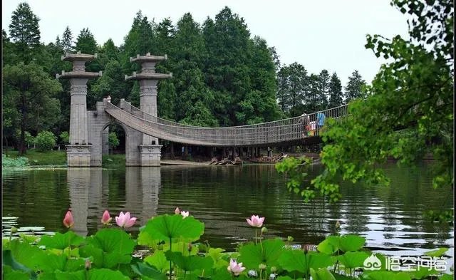 武汉有哪些适合拍婚纱照的地方？