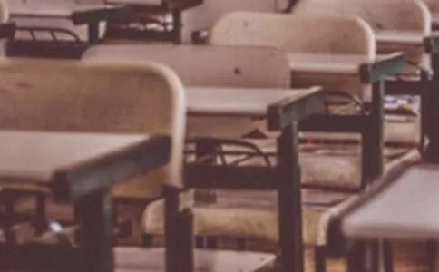 学校月考质量分析总结