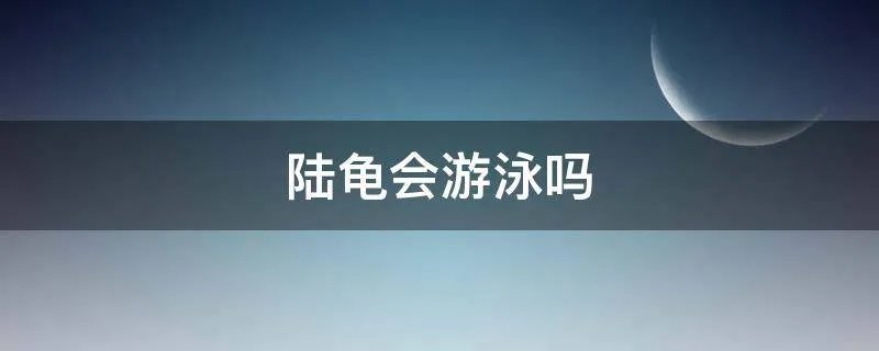 陆龟会游泳吗