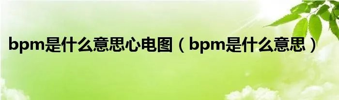 bpm是什么意思心电图（bpm是什么意思）