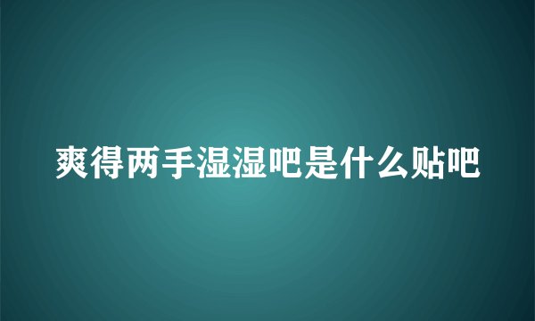 爽得两手湿湿吧是什么贴吧