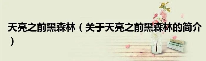 天亮之前黑森林（关于天亮之前黑森林的简介）
