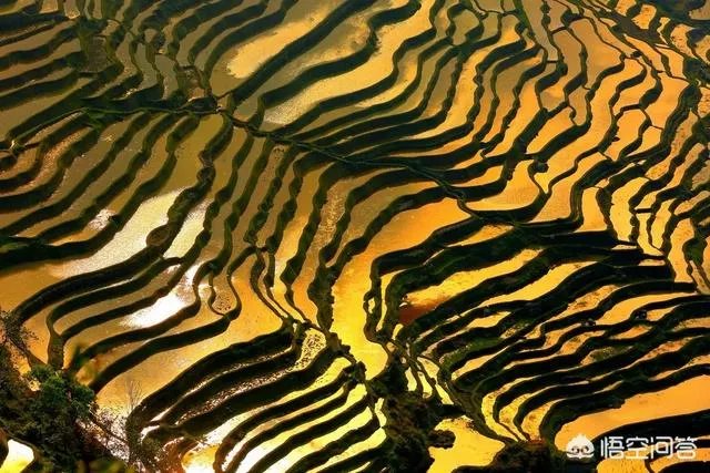 3月份最适合旅游的地方是哪里？