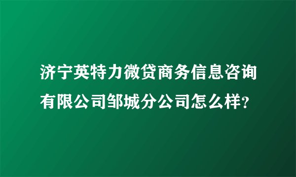 济宁英特力微贷商务信息咨询有限公司邹城分公司怎么样？