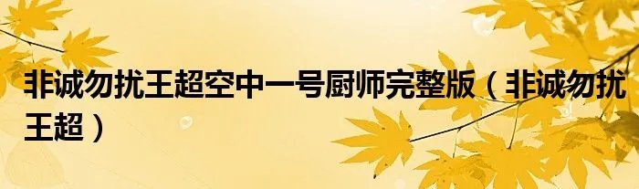 非诚勿扰王超空中一号厨师完整版（非诚勿扰王超）