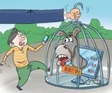 如何看待滴滴打驴被叫停?