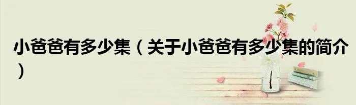 小爸爸有多少集（关于小爸爸有多少集的简介）
