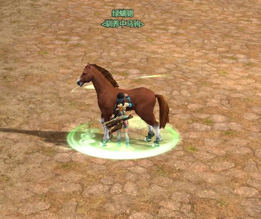 献给新手玩家 剑网3马驹驯养基本常识之一