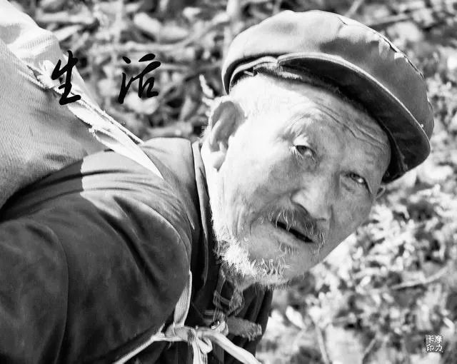 什么是单色照片作品?