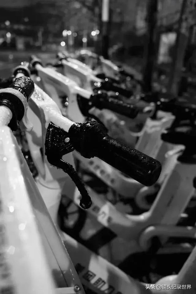 什么是单色照片作品?